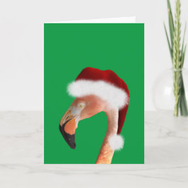 Foto van een roze flamingo met een rode kerstmanho feestdagen kaart