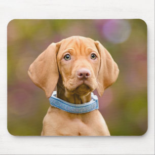 Foto van een scholier uit Hongarije Vizsla Dog Pup Muismat