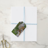 Foto van een Siberische tijger Cadeaulabel (Met Touw)