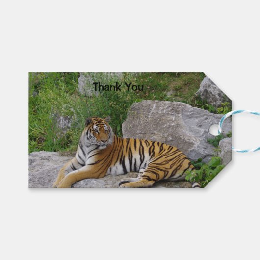 Foto van een Siberische tijger Cadeaulabel (Voorkant (Horizontaal))