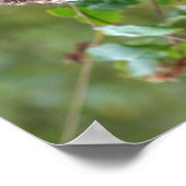 Foto van een uil poster (Hoek)