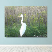 Foto van een wild Egret op canvas. Canvas Afdruk (Insitu (Houten vloer))