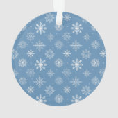 Foto van familie: lichtblauw ornament (achterkant)