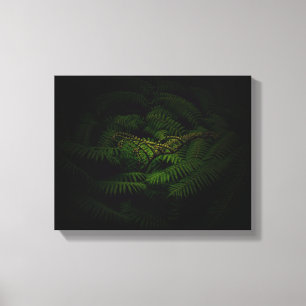 Foto van Fern Fine Art Canvas Afdruk