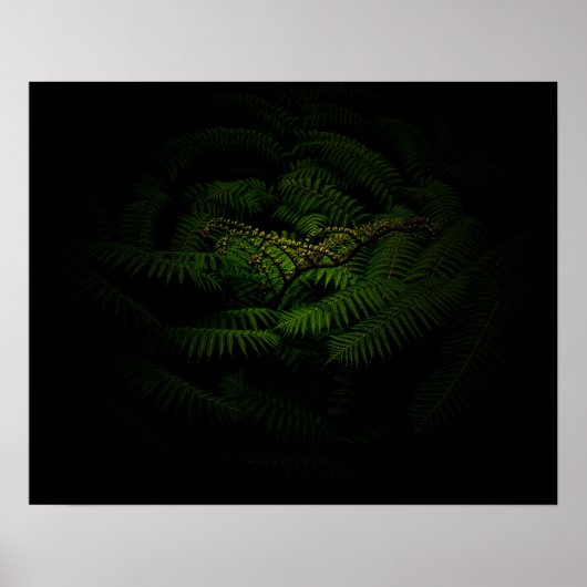 Foto van Fern Fine Art Poster (Voorkant)