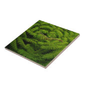 Foto van Fern Fine Art Tegeltje (Zijkant)