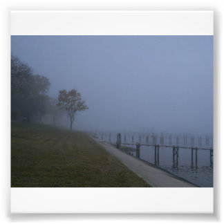 Foto van Foggy Day Tree Afdruk