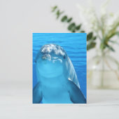 Foto van Friendly Dolphin Briefkaart (Staand voorkant)