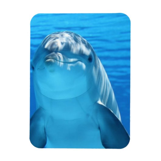 Foto van Friendly Dolphin Magneet (Verticaal)