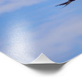 Foto van frietkolibrie foto afdruk (Hoek)