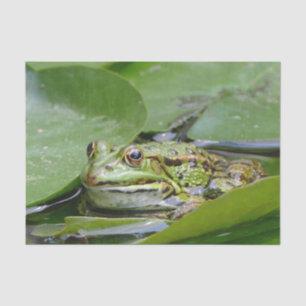 Foto van Frog Green Lily Pad Tissuepapier