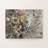 Foto van Frost Wilde Rudbeckia Flowers Legpuzzel (Horizontaal)