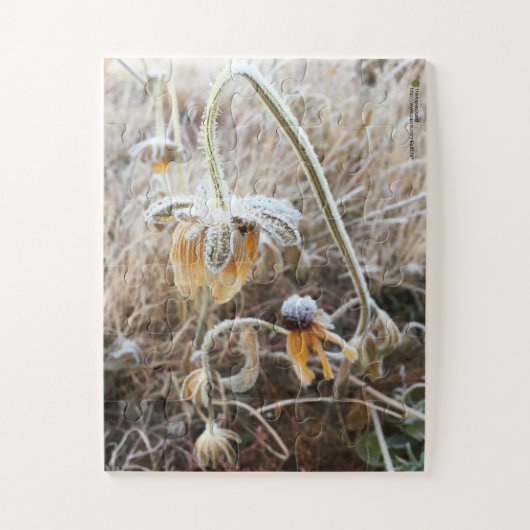 Foto van Frost Wilde Rudbeckia Flowers Legpuzzel (Verticaal)