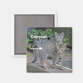 Foto van Funny Cat en Copycat Magneet (Voorkant / Achterkant)