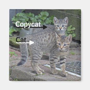 Foto van Funny Cat en Copycat Magneet