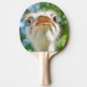 Foto van Funny Ostrich Animal Tafeltennisbatje