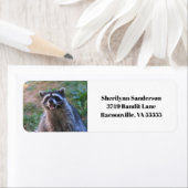 Foto van Funny Raccoon Etiket (Insitu)