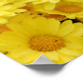 Foto van Gele Mums Poster (Hoek)