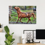 Foto van gespiriteerde speelse kastanjeRanch Horse Poster (Thuiskantoor)