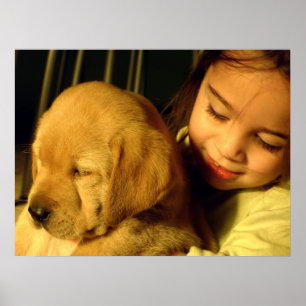 Foto van Golden Retriever Puppy Dog Poster