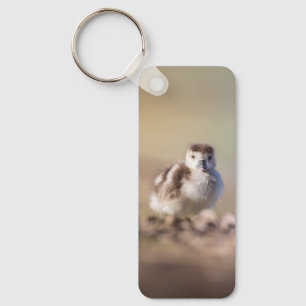 Foto van Goose Chick Natuur Sleutelhanger