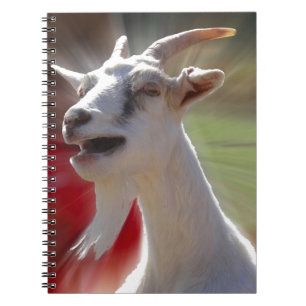 Foto van grappige geit notitieboek