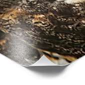 Foto van Great Horned Owl Afdruk (Hoek)