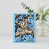 Foto van Great Horned Owl Briefkaart (Staand voorkant)