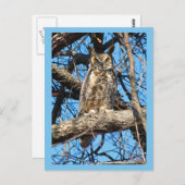 Foto van Great Horned Owl Briefkaart (Voorkant / Achterkant)