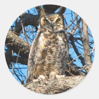Foto van Great Horned Owl Ronde Sticker