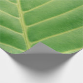 Foto van groen blad sluiten cadeaupapier (Hoek)