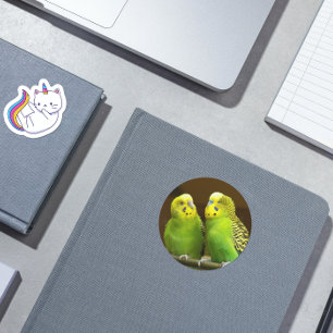Foto van groene en gele paraketten ronde sticker