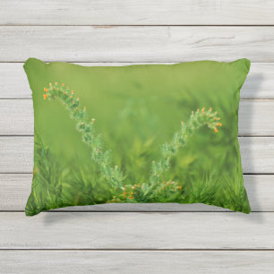 Foto van groene Wilde Plant Buitenkussen