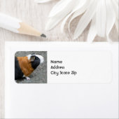 Foto van Guinee Etiket (Insitu)