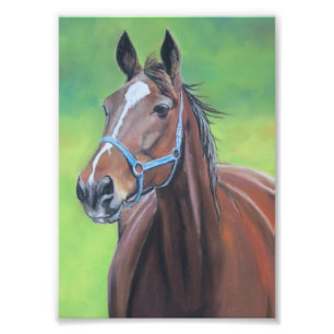 Foto van Hanover Horse Afdruk