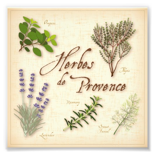Foto van Herbes de Provence Foto Afdruk (Voorkant)