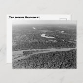  foto van het Amazonewoud Briefkaart (Voorkant / Achterkant)