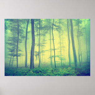 foto van het bos van de jonge generatie. poster