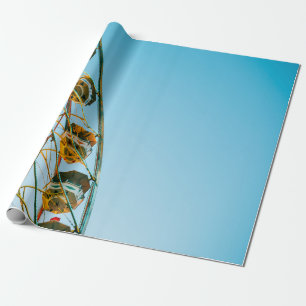 Foto van het groene reuzenrad cadeaupapier