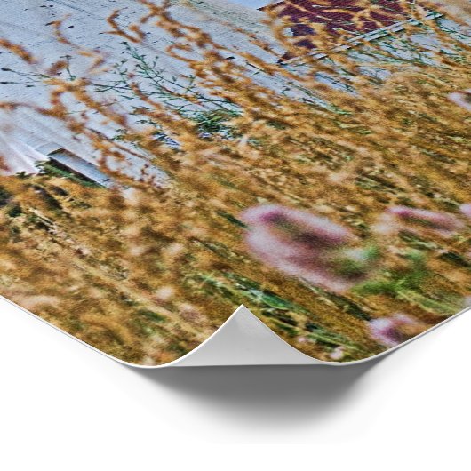 foto van het Kaap Cod Light House Poster (Hoek)