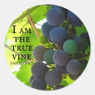 Foto van het Paarse evangelie van John Bible Verse Ronde Sticker