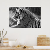 Foto van het profiel B&W-tijger Poster (Keuken)