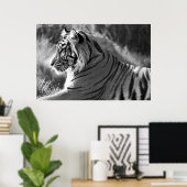 Foto van het profiel B&W-tijger Poster (Thuiskantoor)