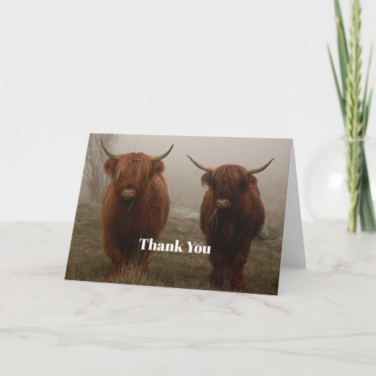 Foto van Highland Cattle Fog Bedankkaart (Voorkant)