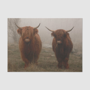 Foto van Highland Cattle Fog Tissuepapier