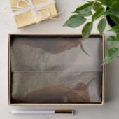 Foto van Highland Cattle Fog Tissuepapier (Geschenk)