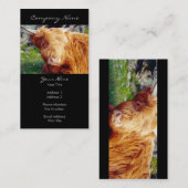 Foto van Highland Cow Visitekaartje (Voorkant / Achterkant)