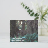 Foto van Hoh Rain Forest Revel Briefkaart (Staand voorkant)