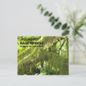 Foto van Hoh Rain Forest Revel Briefkaart (Staand voorkant)