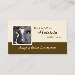 Foto van Holstein-melk of rundvee Visitekaartje